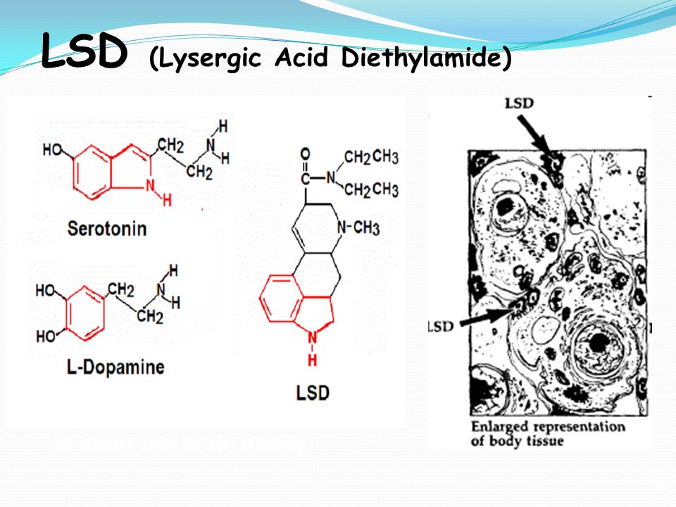 An overview of lsd lysergic acid diethylamide